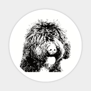 Barbet gift for French Water Dog Owners Magnet